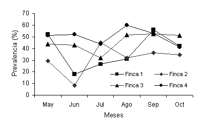 Figura 1.  Prevalencia promedio mensual (%) de infeccin por estrngilos digestivos por finca (mayo-octubre 2002).